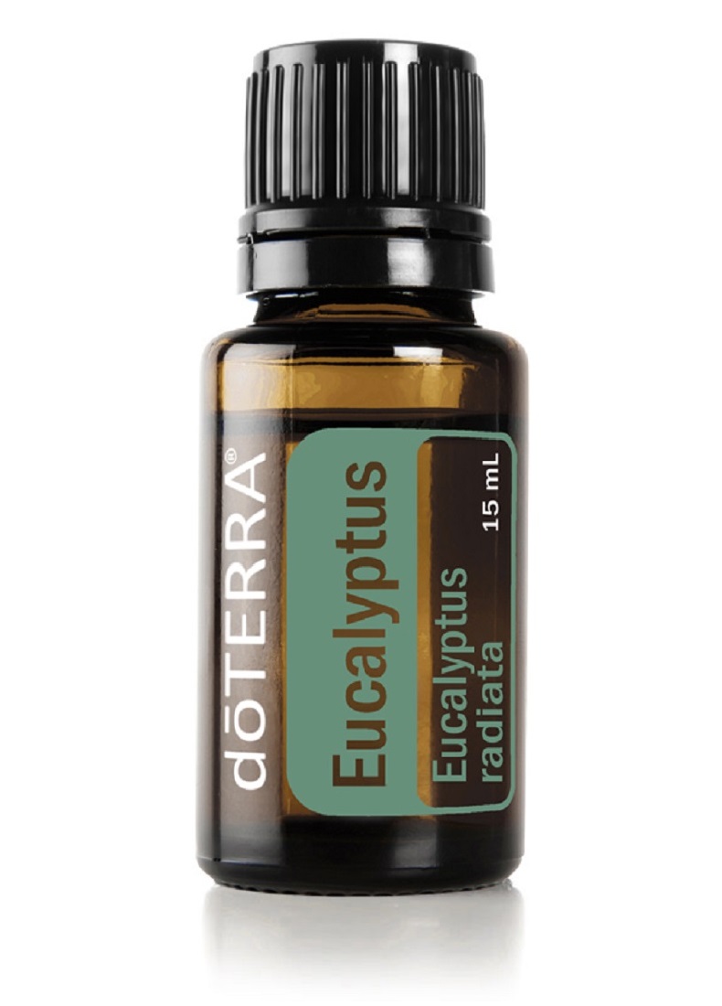 Eucalyptus 15ml – DoTERRA Essential Oils North Brisbane